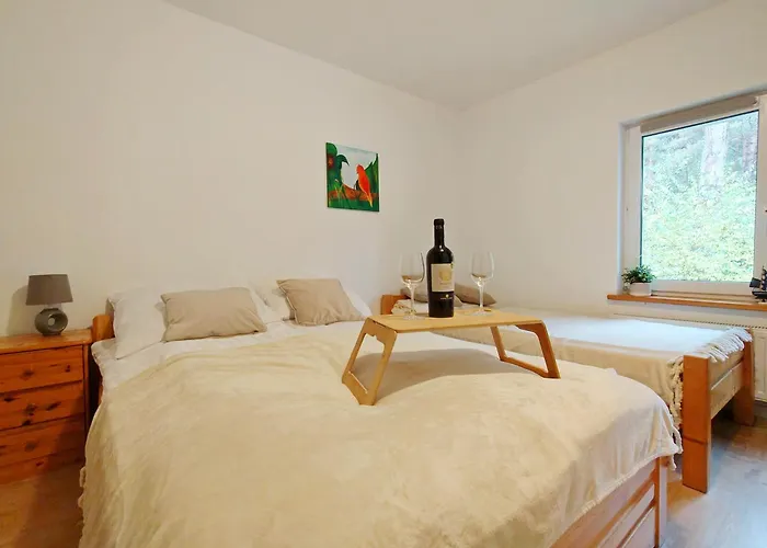 Lägenhet Dom Pod Sosnami E-apart Pl *