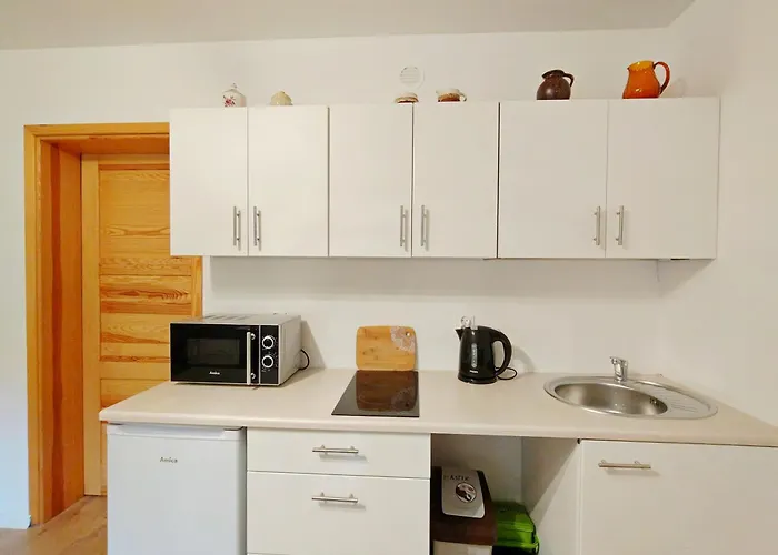 Dom Pod Sosnami E-apart Pl Lägenhet