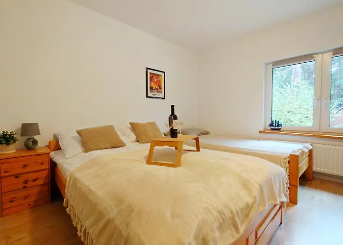 Lägenhet Dom Pod Sosnami E-apart Pl *